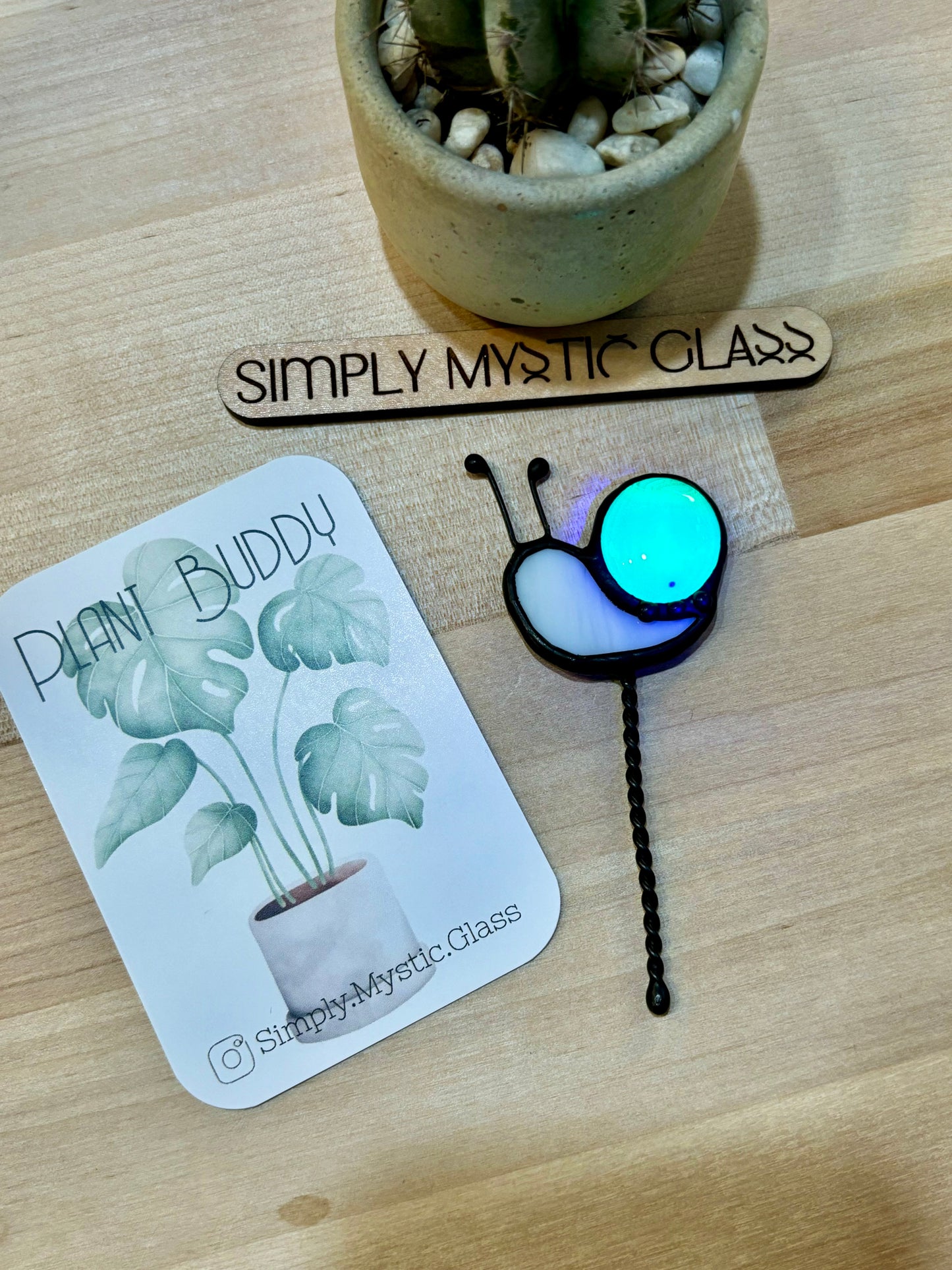 Snail Plant Buddy Glow in the Dark