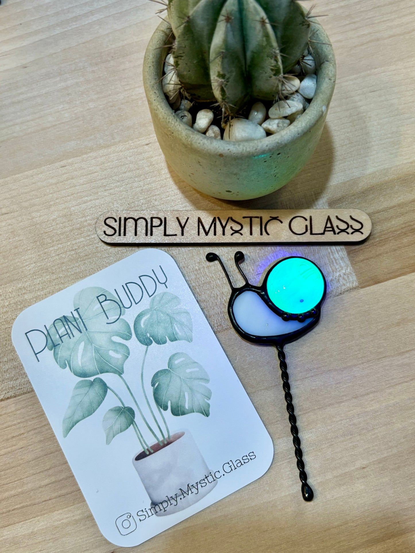 Snail Plant Buddy Glow in the Dark