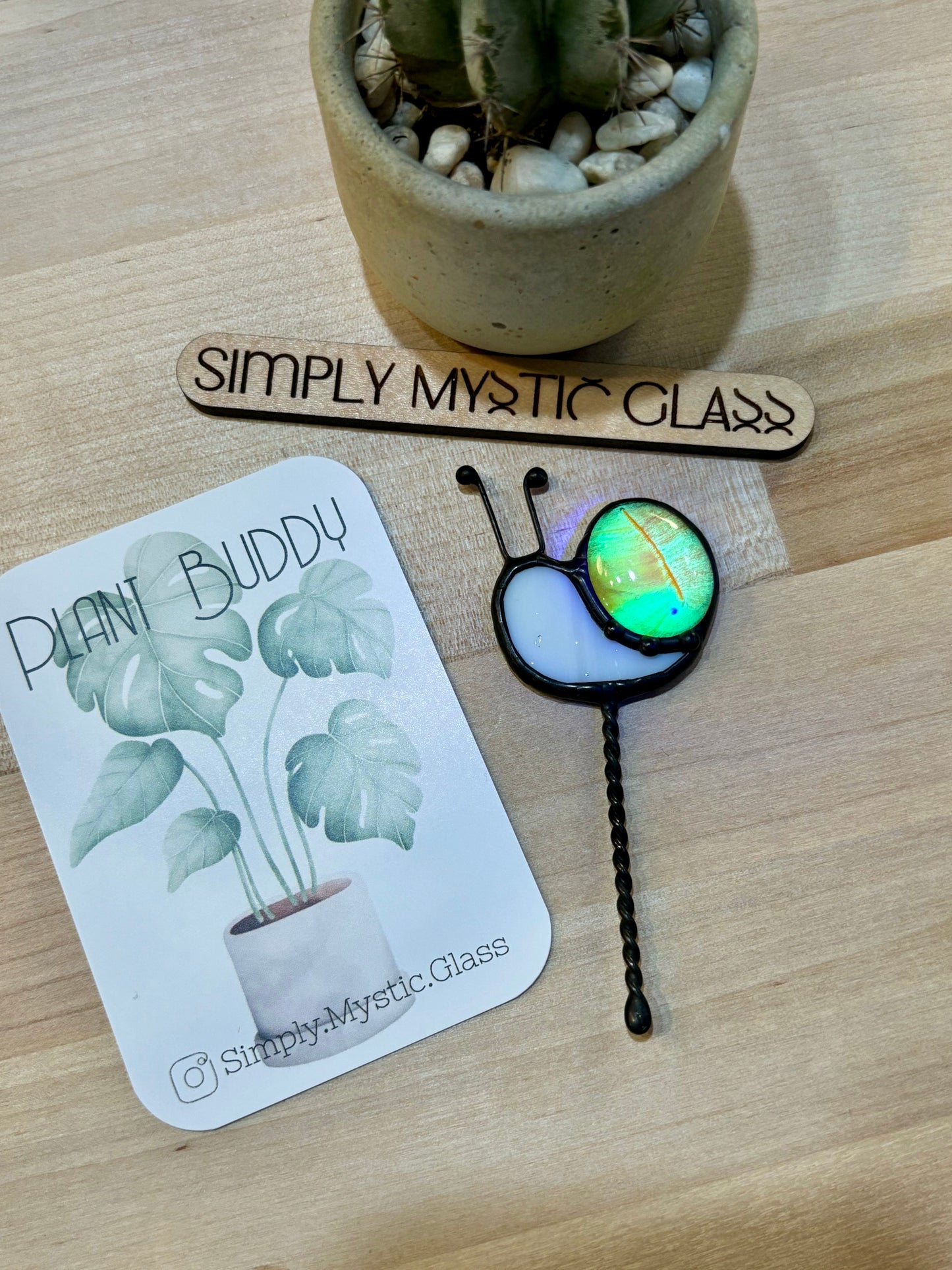 Glow in the Dark Snail Plant Buddy