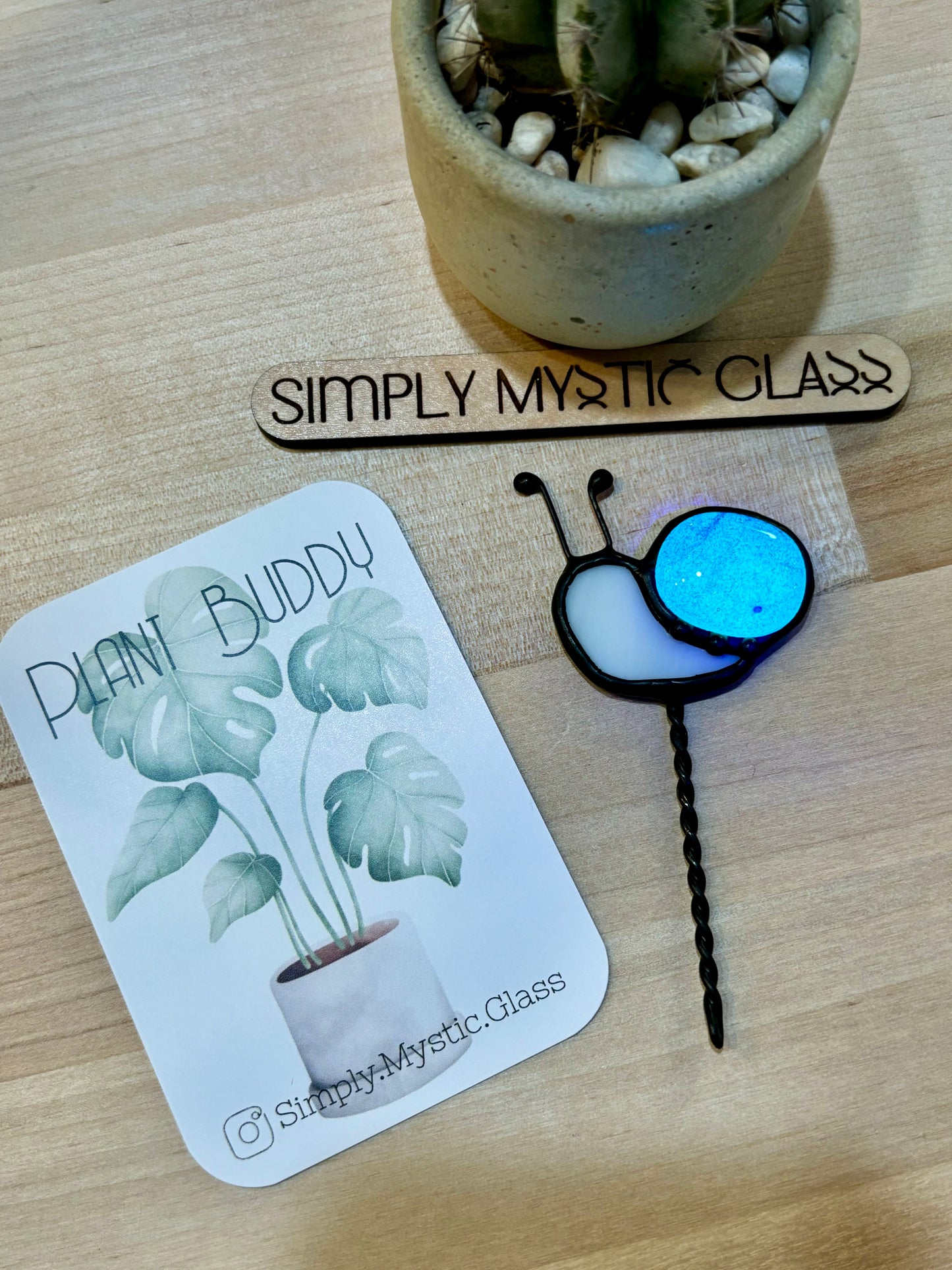 Snail Plant Buddy Glow in the Dark