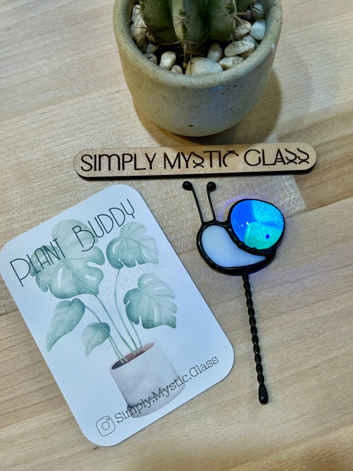 Snail Plant Buddy Glow in the Dark