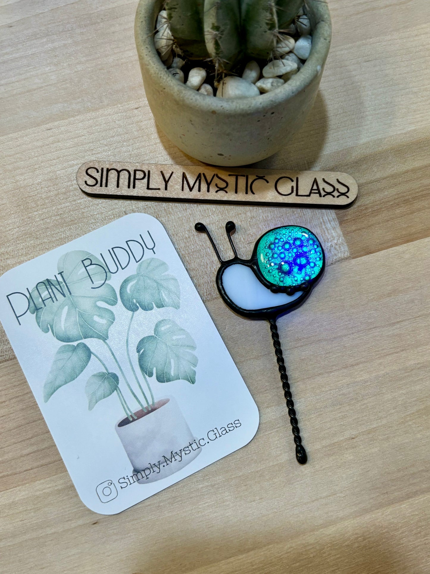 Glow in the Dark Snail Plant Buddy