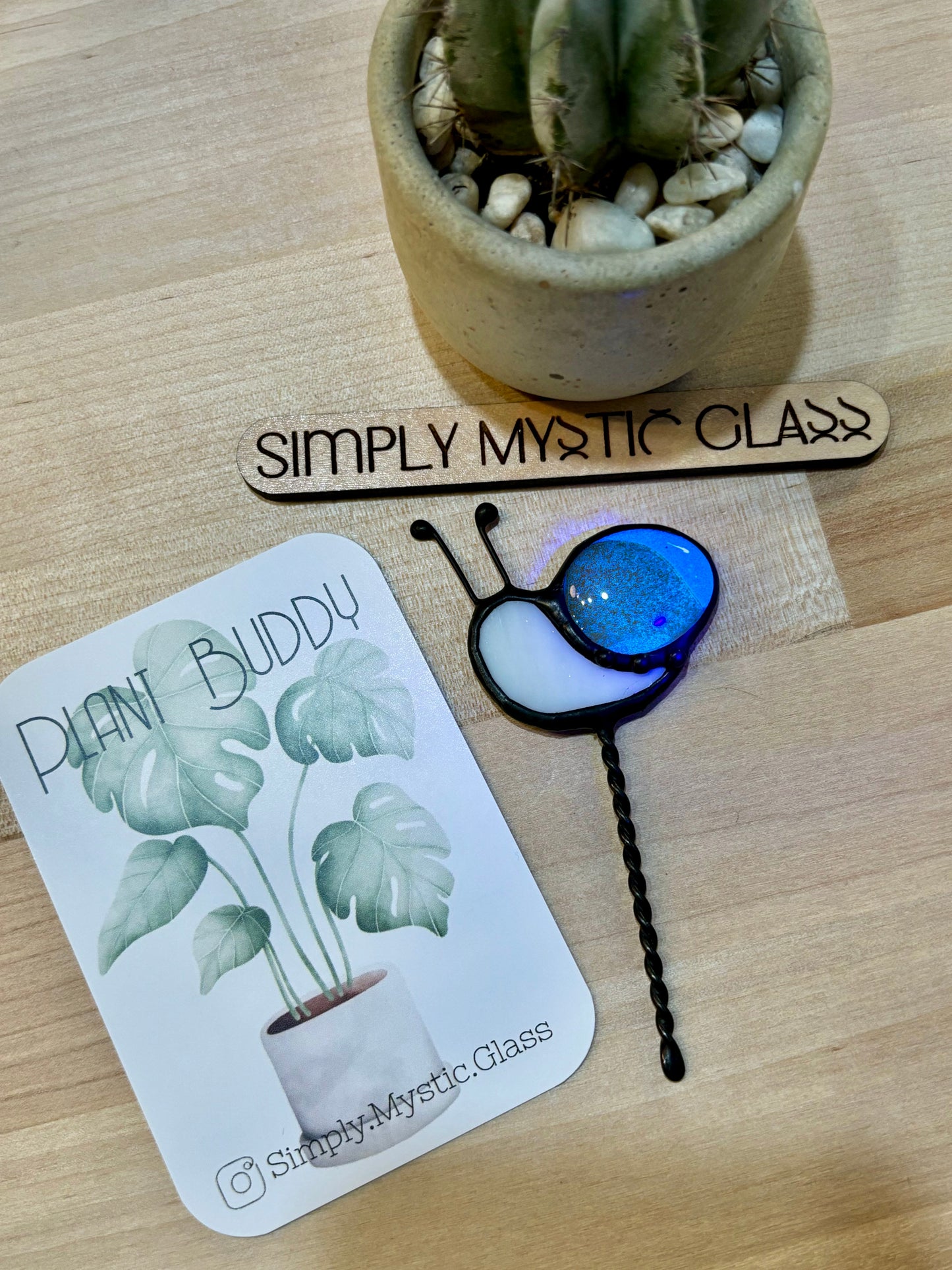 Snail Plant Buddy Glow in the Dark